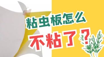 粘蟲用熱熔膠