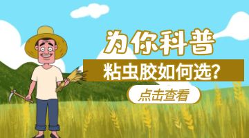 粘蟲(chóng)膠