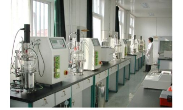 玻璃發(fā)酵罐