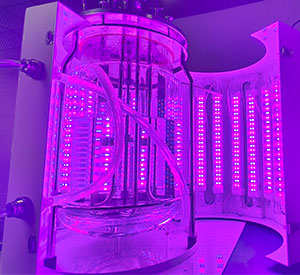 光照生物反應器光照系統(tǒng) 光照生物反應器光照系統(tǒng)