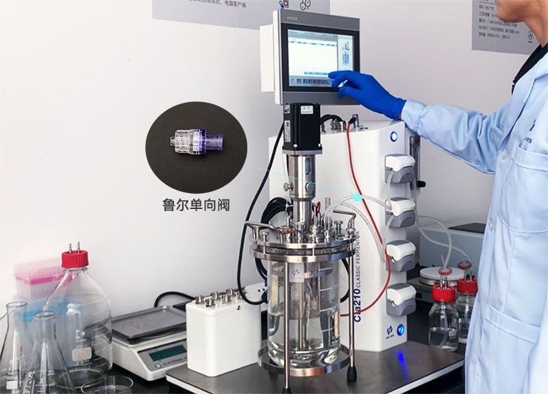 玻璃發(fā)酵罐補(bǔ)料魯爾單向閥 玻璃發(fā)酵罐補(bǔ)料魯爾單向閥