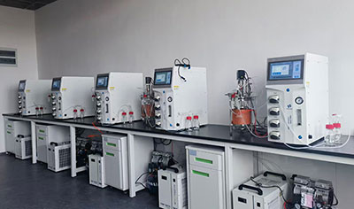 發(fā)酵罐尾氣處理與控制